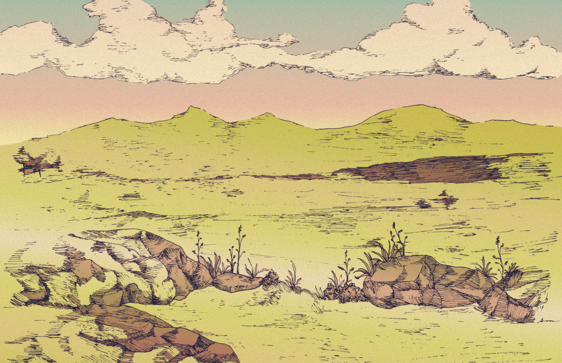 landscape 